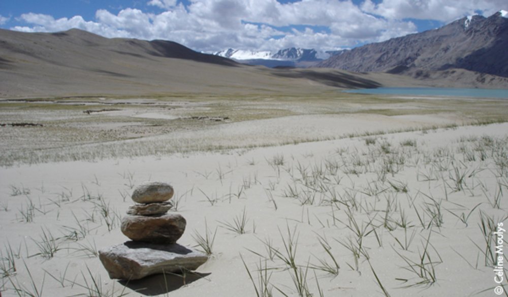 Pédaler dans les somptueux paysages du Ladakh avec "Himalayan Bikers"