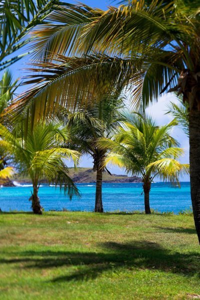 Petit Cul-de-Sac - Les plages les plus sauvages de Saint-Barth