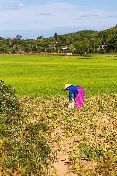 Phong Nha - A la découverte du Vietnam hors des sentiers battus avec l'agence "Vietnam Autrement"