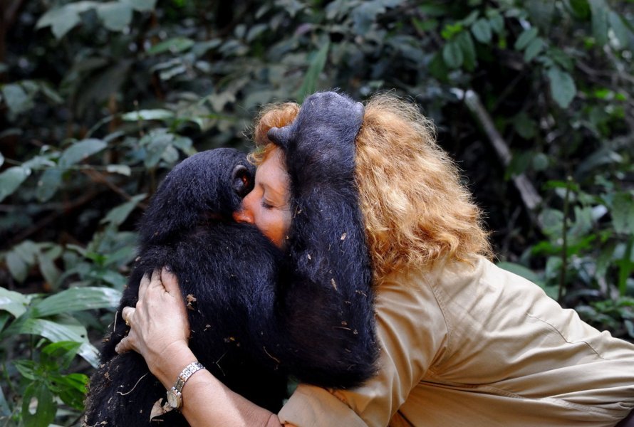 Photo du film BONOBOS d'Alain Tixier