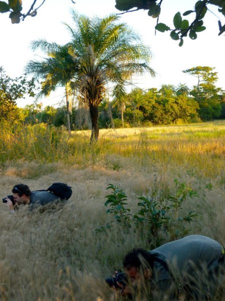 Photographie en Casamance