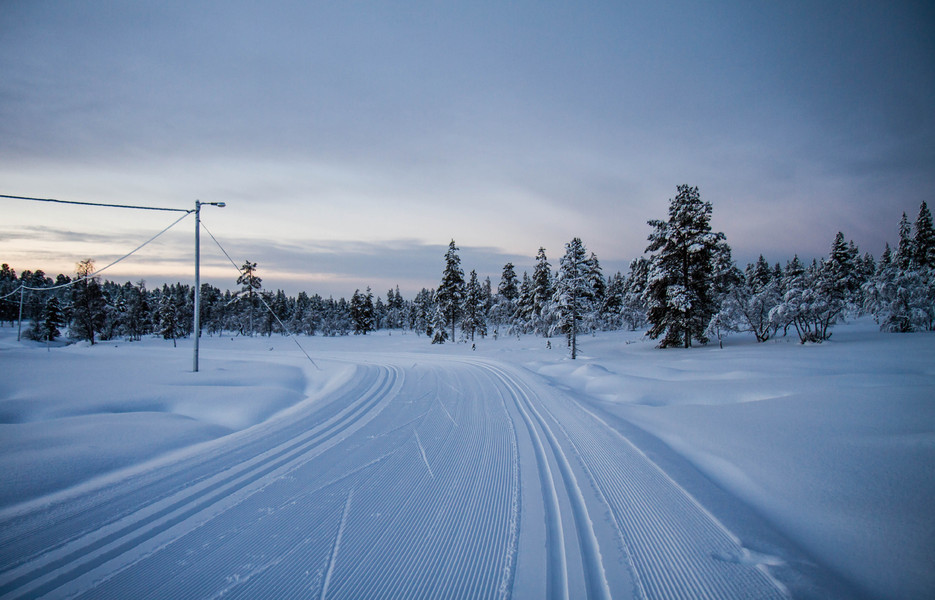 Piste de ski de fond marquée au départ de Kiilopää / direction Rönkönlampi-Kakslauttanen - Finlande