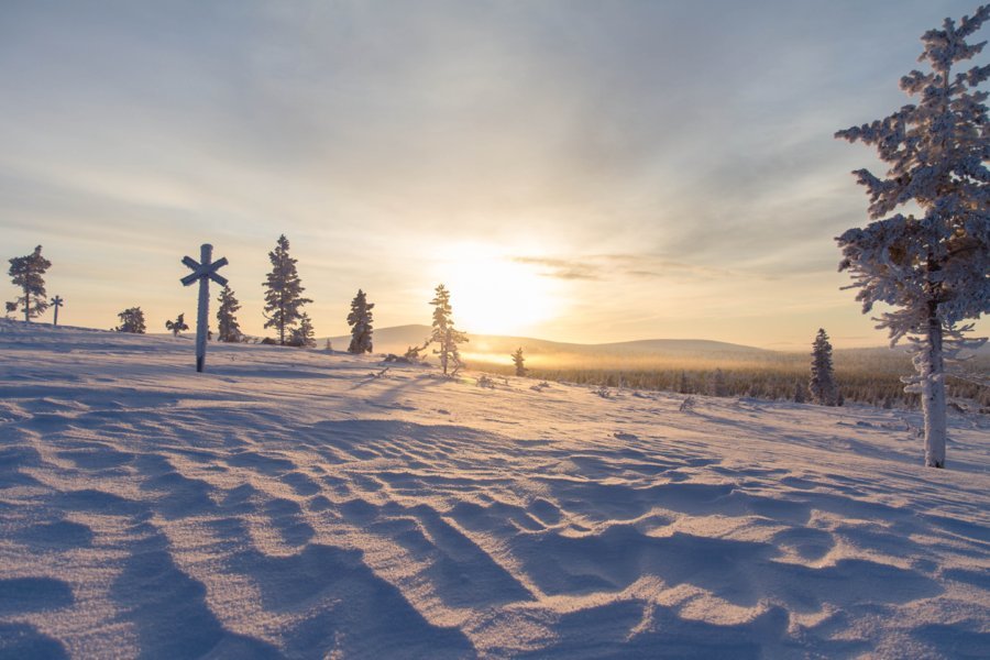 Piste de ski de fond nature dans le parc Uhro Kekkonen au départ de Kiilopää - Finlande