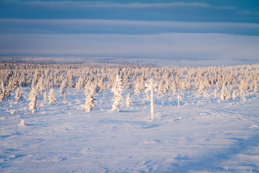 Piste de ski de fond nature dans le parc Uhro Kekkonen au départ de Kiilopää - Finlande