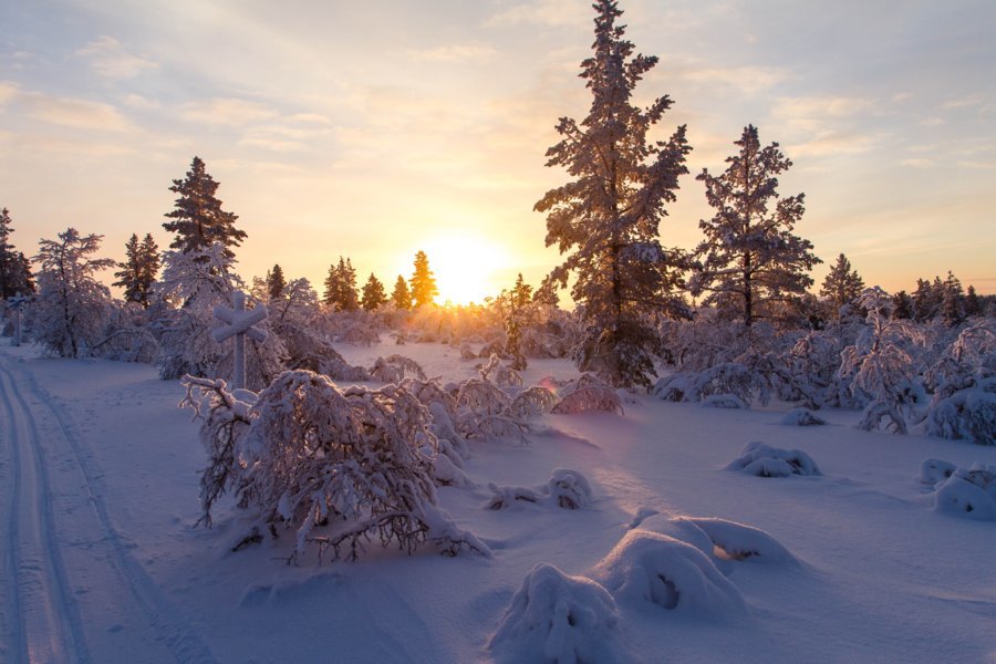 piste de ski de fond nature dans le parc Uhro Kekkonen au départ de Kiilopää - Finlande