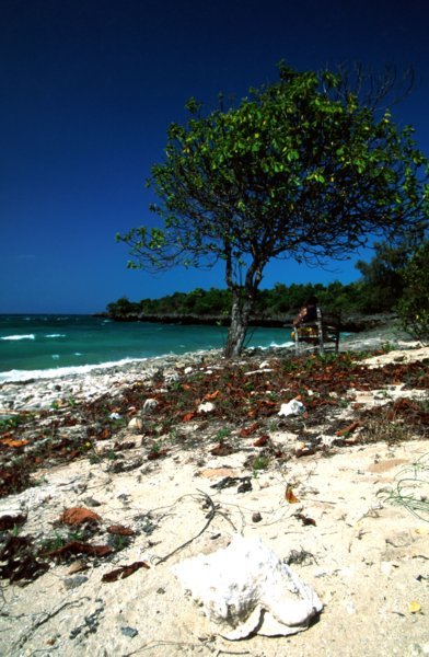 Plage