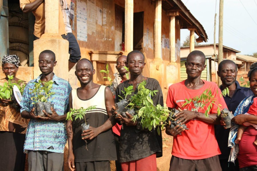 Plantation d'arbre au Ghana par Pur Projet