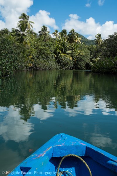 Promenade au fil de l'Indian River sur les traces des 1ers indiens de l'île - La Dominique, coeur vert des Caraïbes