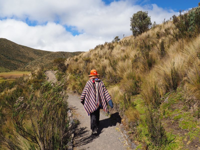 Promenade au pied du Cotopaxi - Equateur