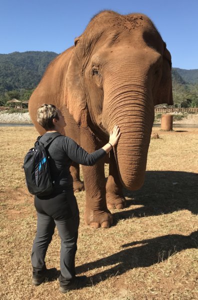Protéger les éléphants en Thaïlande
