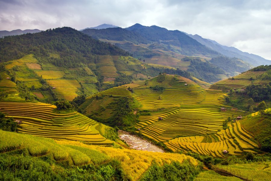 Rizières d'Asie - Voyage sur-mesure avec l'agence de voyage TraceDirecte