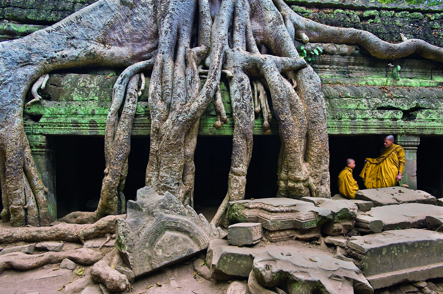 Ruine du temple de Ta Prohm, Angkor, Cambodge. La capitale de l’empire khmer, Angkor, a été abandonnée au XVIème  siècle. Elle comptait alors 700 000 habitants.