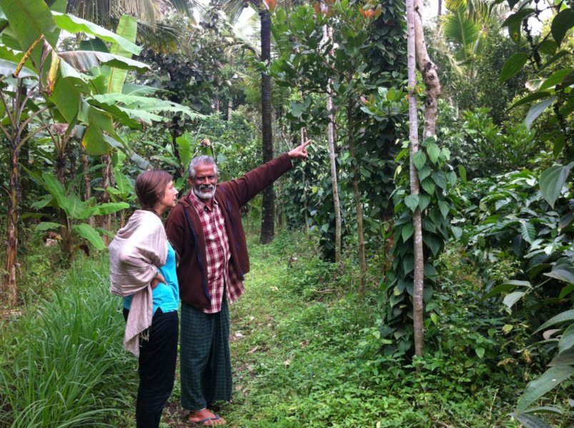 Sebastian partage sa passion et ses secrets - Aroma Garden, chez Sebastian, le jardin d'épices le plus confidentiel de toute l'Inde du Sud