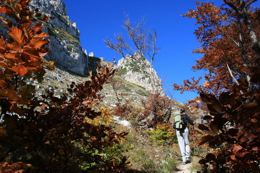 Sortie de la forêt de hêtres pour marcher à découvert jusqu'au sommet du Monte Sirente, Abruzzes - Italie