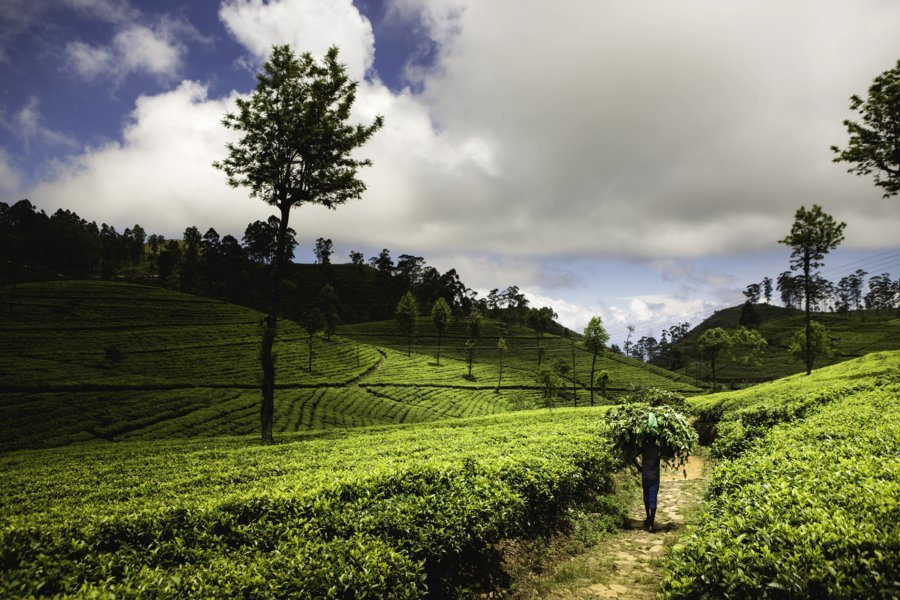 Sri Lanka