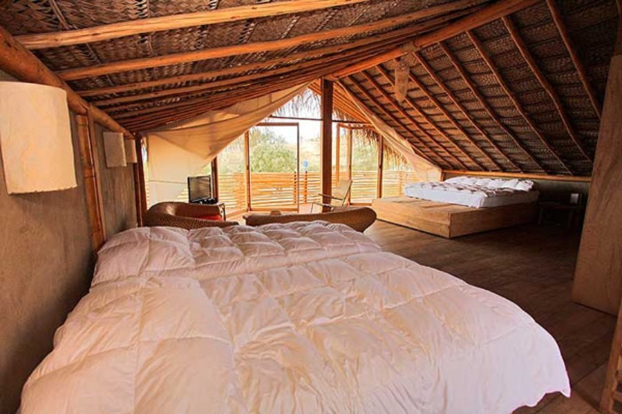 Suite avec vue sur la mer (4 pers) - Ecolodge Mancora, Perou