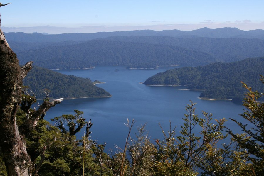 Te Urewera - Nouvelle-Zélande