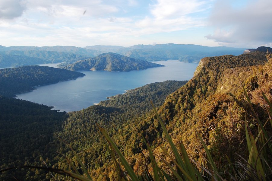 Te Urewera - Nouvelle-Zélande