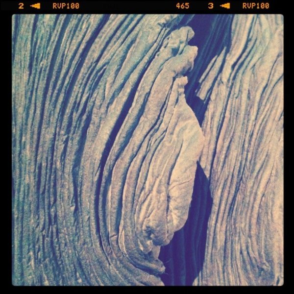 The Earth Breathes-Mind Landscape (Le paysage de la terre souffle l'idée) de Yoshio Ikezaki