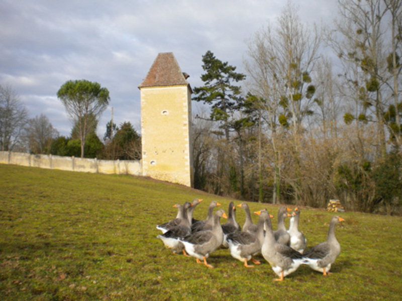 Trois hectares de jardin, verger et potager permettent de profiter de la nature