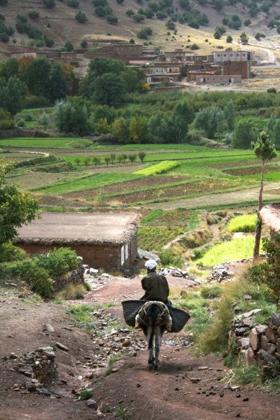 Un cavalier sur sa frêle monture - Au coeur de la Vallée Heureuse des Aït Bougmez avec l'agence Allibert Trekking - Octobre 2012