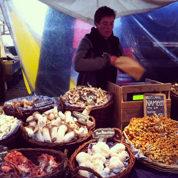 Un stand s'est spécialisé dans les champignons bios, marché du Noordermarkt, Quartier du Jordaan - Amsterdam, Pays-Bas