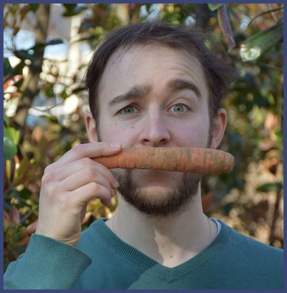 Vegan Culinary Tours