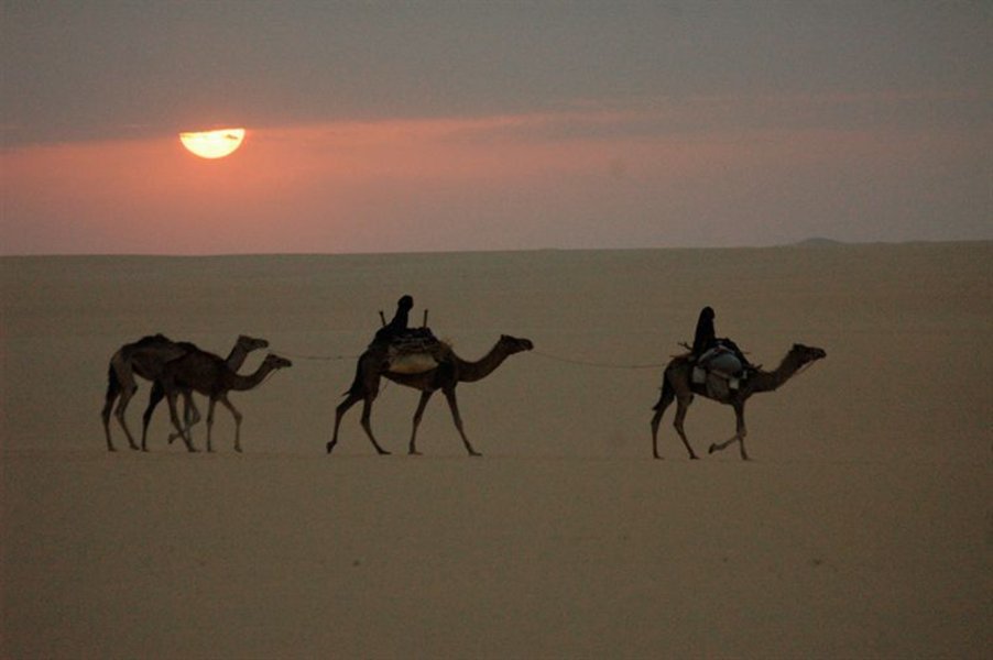 Vents de sable, femmes de roc
