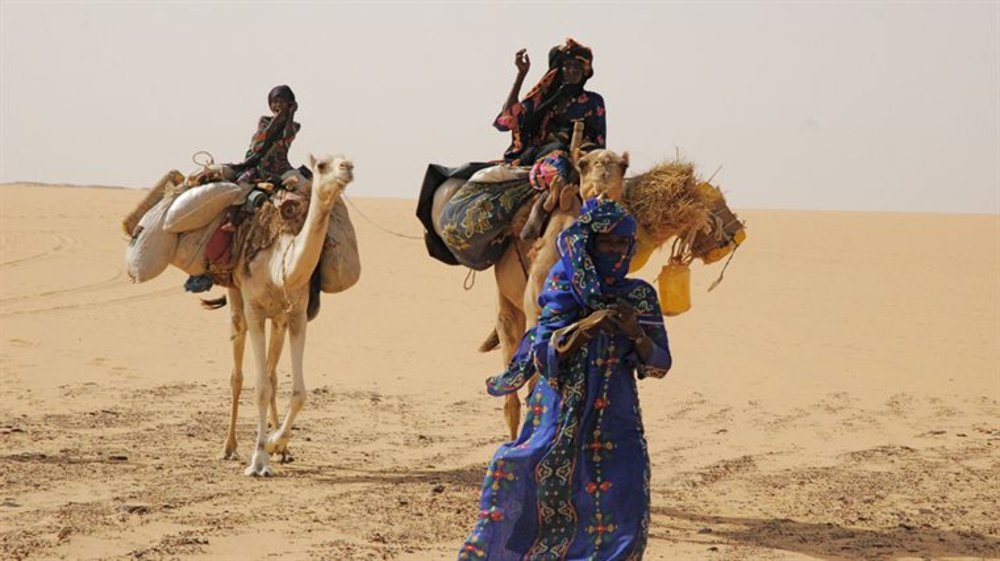 Vents de sable, femmes de roc