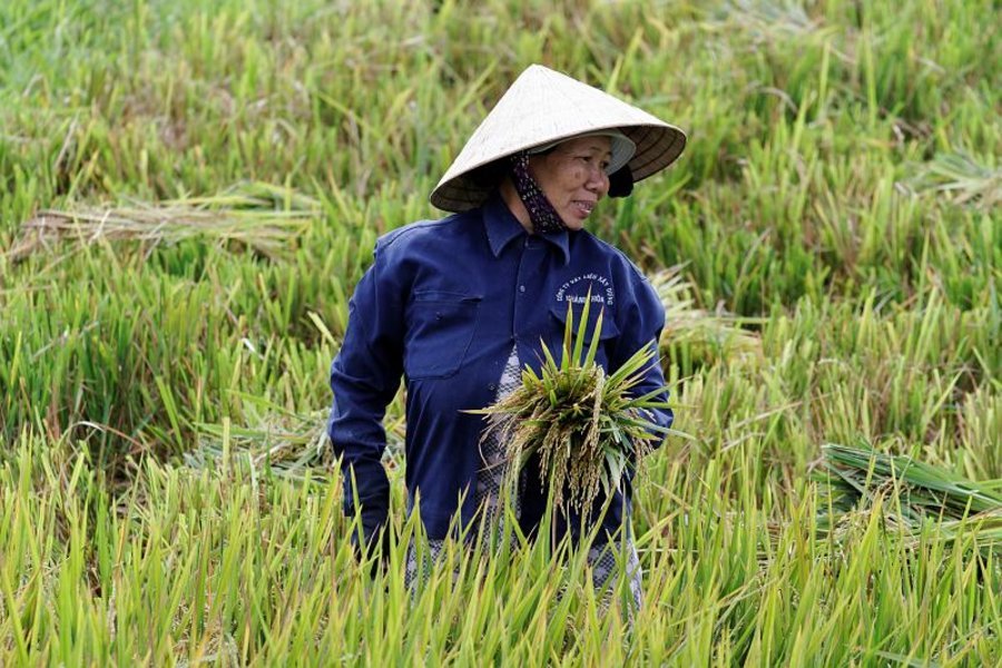 Vietnam
