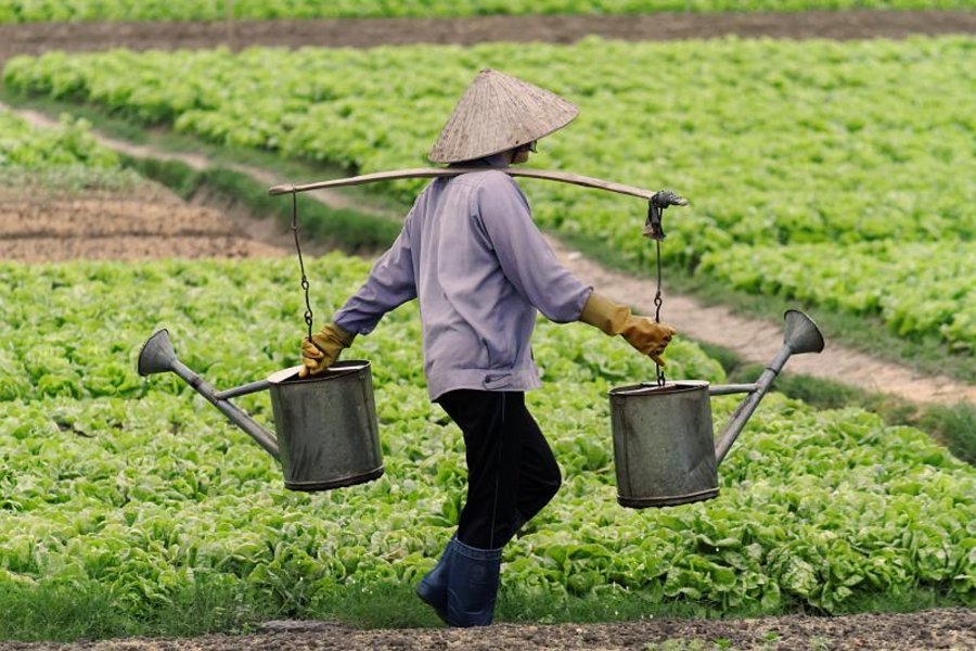 Vietnam