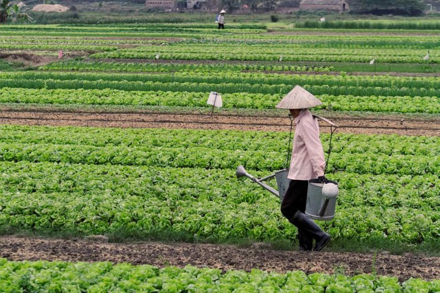 Vietnam