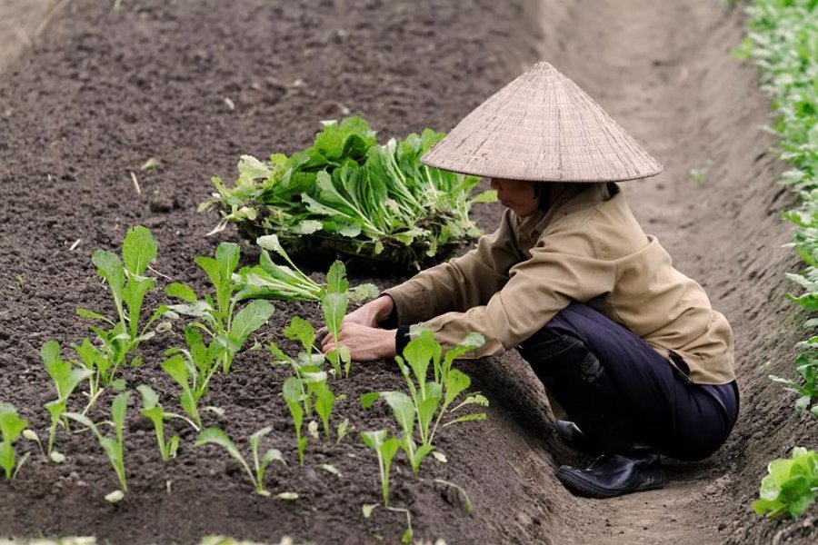 Vietnam