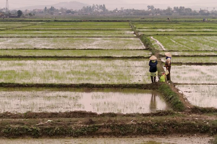 Vietnam