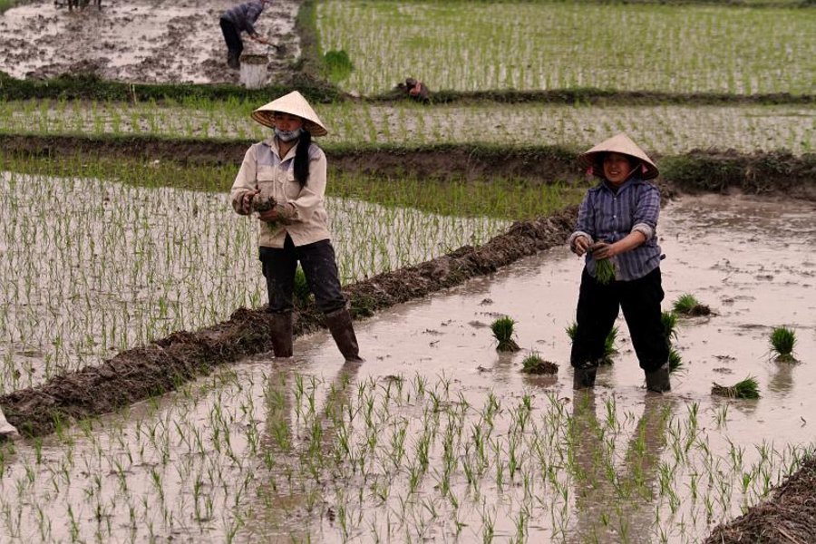 Vietnam