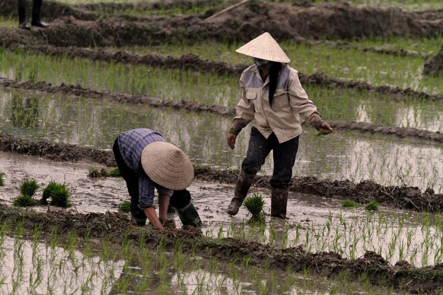 Vietnam