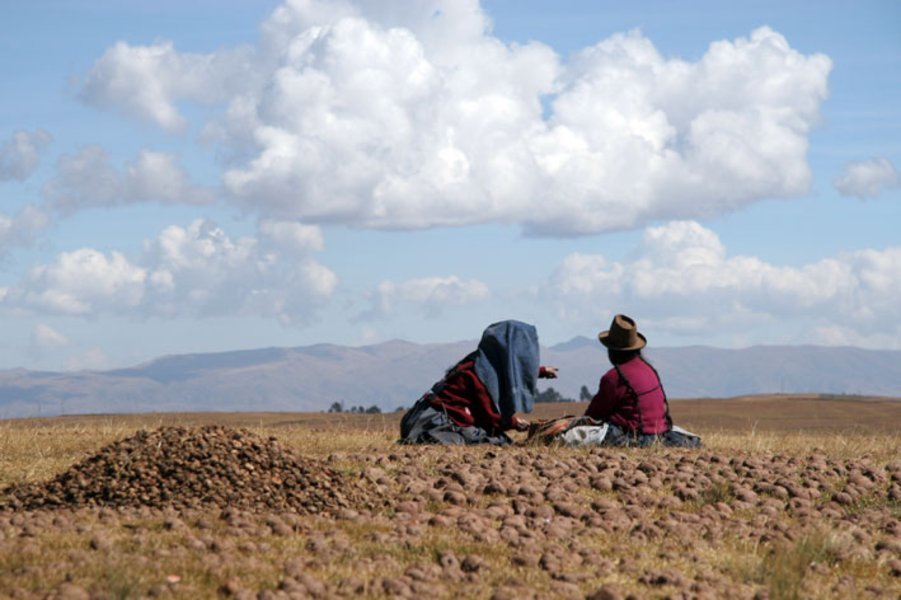Voyage équitable dans les Andes avec l'agence "Culture Contact"