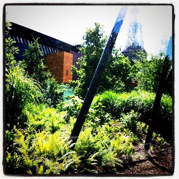 Vue sur la végétation dense du Quai Branly qui scintille sous le soleil de la fin mai