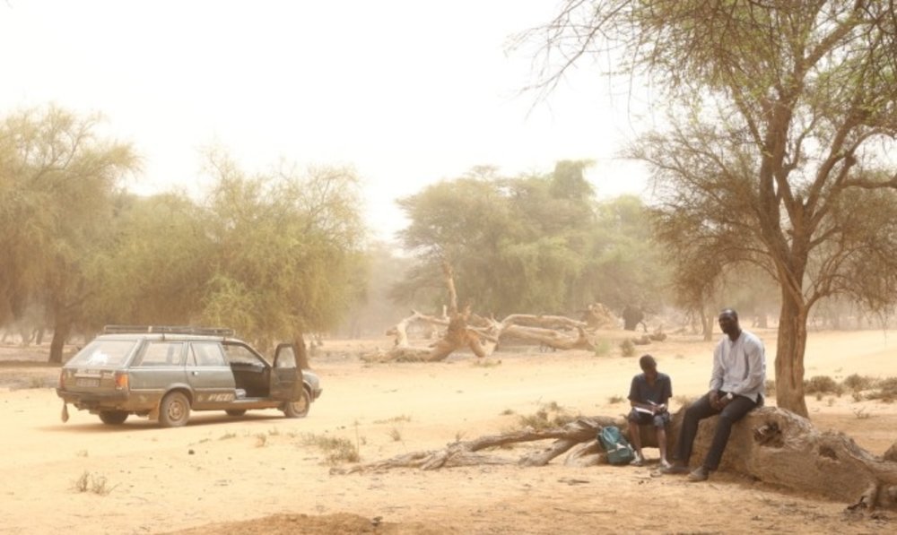 Yao, un film de Philippe Godeau avec Omar Sy et  Lionel Basse, road trip en terre sénégalaise