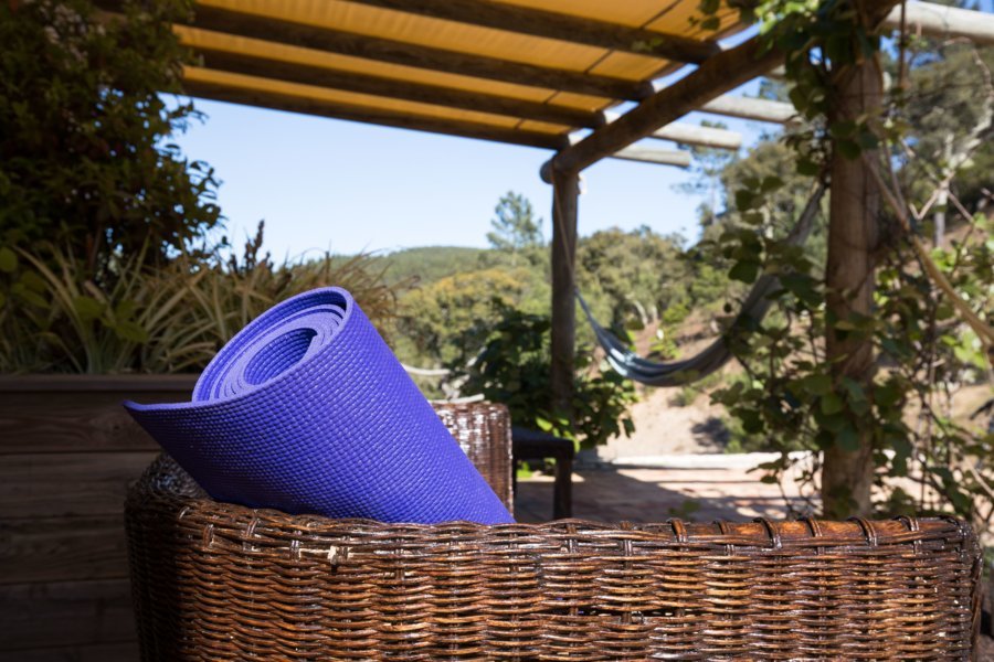 Yoganest Retreats