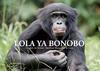 Lola Ya Bonobo