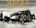"Afrique, Terre sauvage" - Splendeur photogénique de l'Afrique