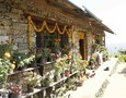 Almost Heaven Permaculture Farms - Apprentissage en permaculture