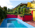 Cosy Apt & Green setting near Palermo, Buenos Aires - Argentine