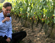 Dormir au milieu des champs, des vignes, de la Loire ou d'un lit à baldaquin