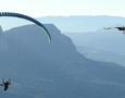 The parahawking Project - Volez avec des vautours !