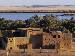 Adrère Amellal se dresse au beau milieu de l'oasis de Siwa