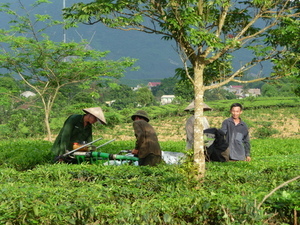 Aux confins chinois du Nam Viet