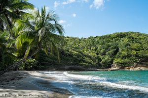 Batibou Beach au Nord de l'île - La Dominique, coeur vert des Caraïbes