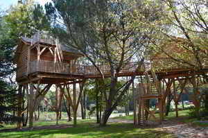 Cabane au milieu des arbres - ÉcOtelia, domaine éco-responsable au coeur des Landes de Gascogne